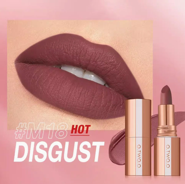 Long-Lasting Velvet Matte Lipstick
