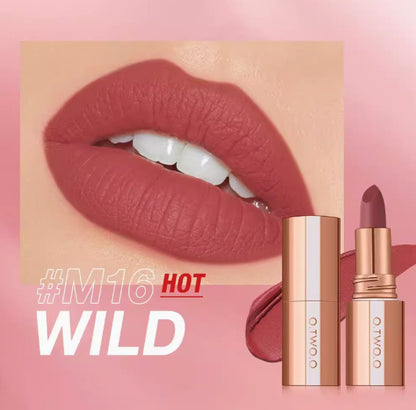 Long-Lasting Velvet Matte Lipstick